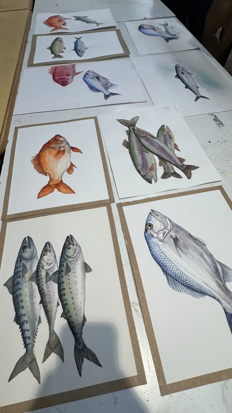 Aquarelles réalisées en cours