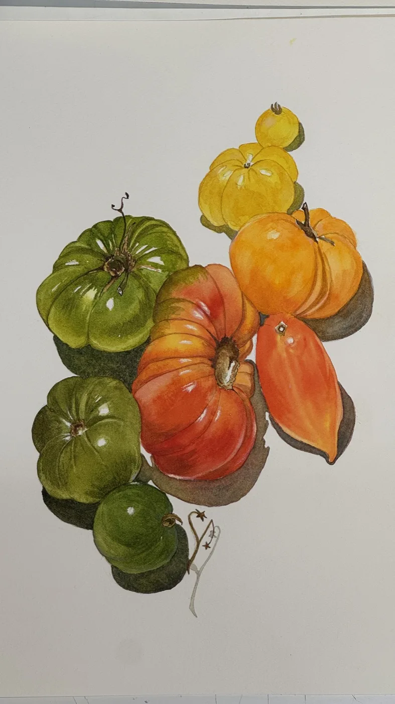 Aquarelle réalisée en cours