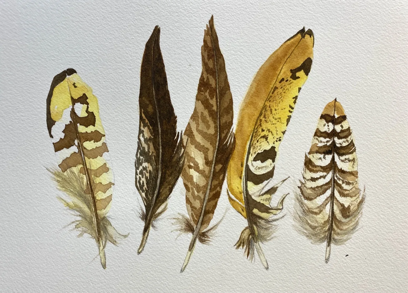 Aquarelle réalisée en cours