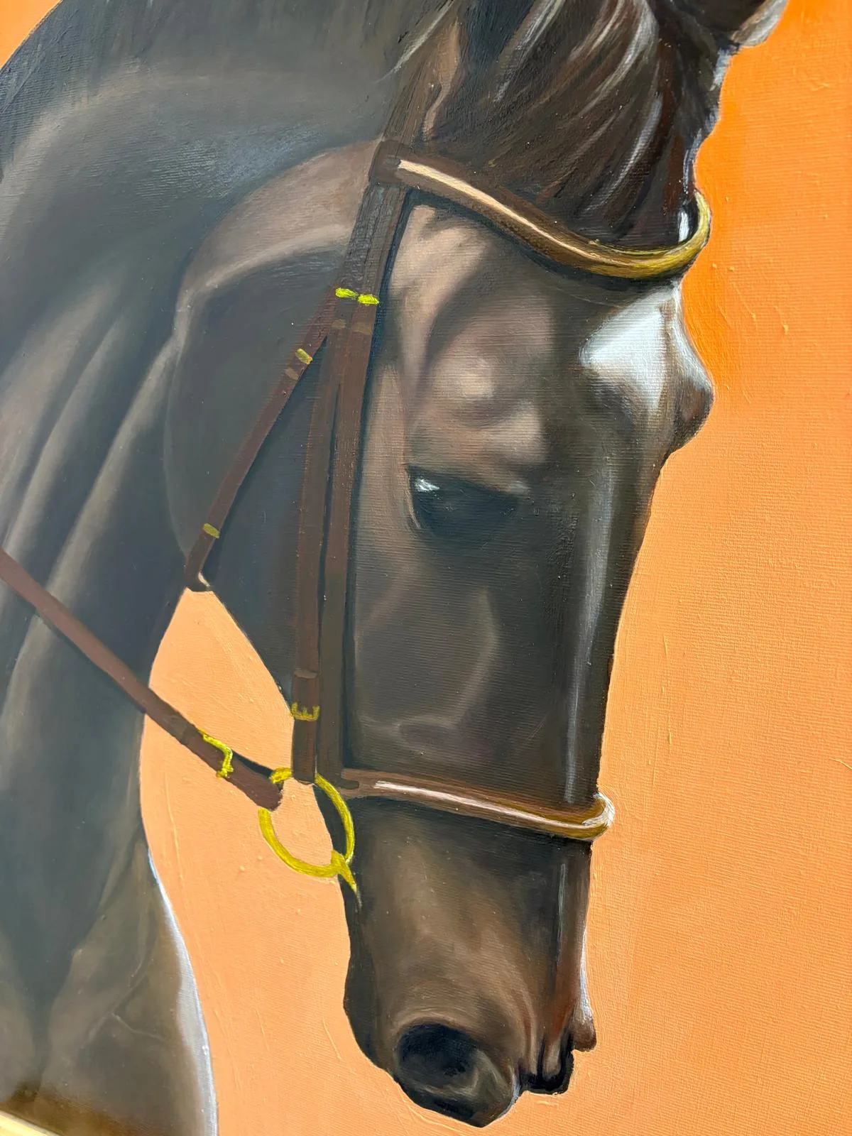 Tête de cheval bridé peinte à l'huile sur fond orange, atelier libre Bordeaux