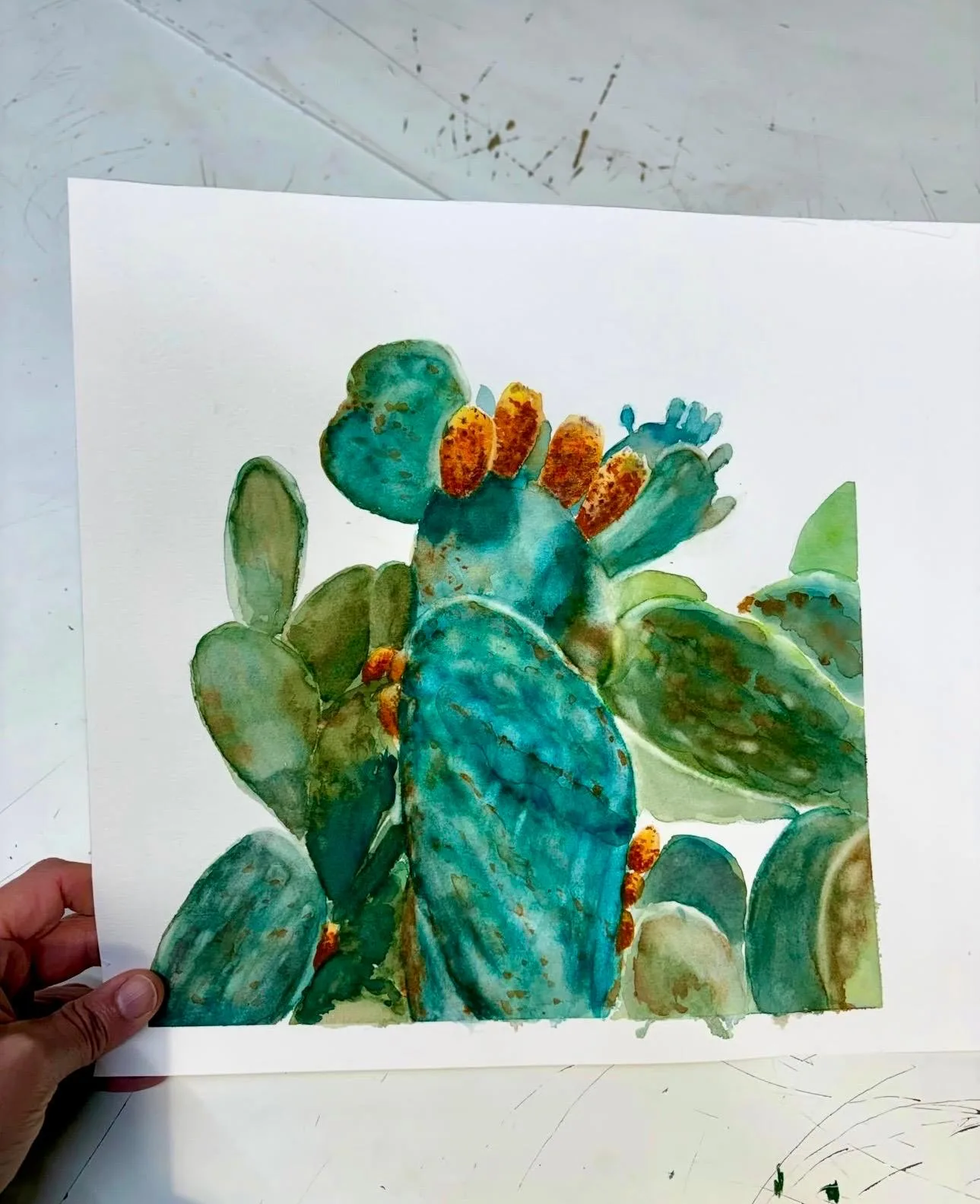 Figuier de Barbarie peint à l'aquarelle, atelier libre Bordeaux