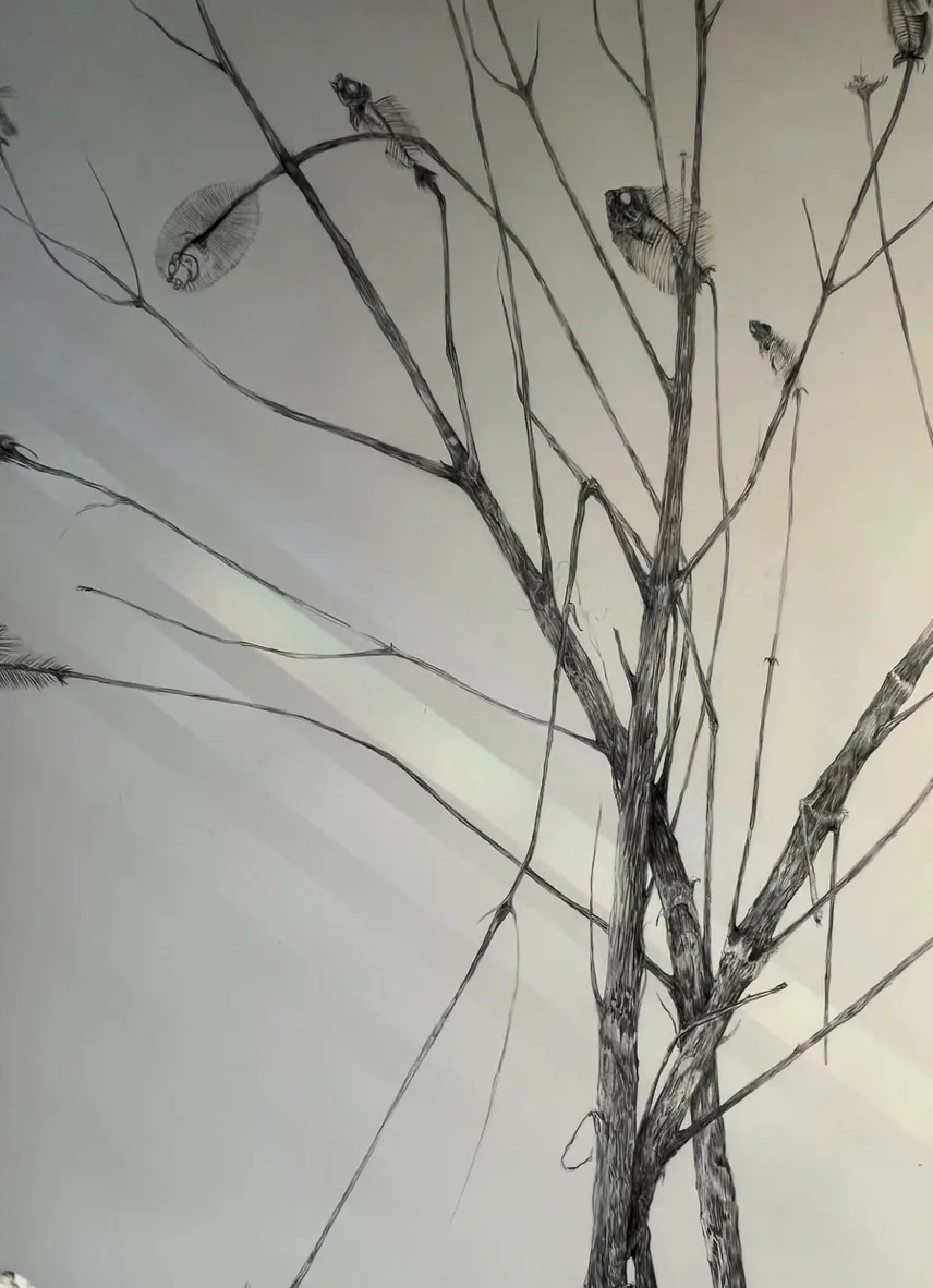Étude du vivant au dessin, cours à Bordeaux