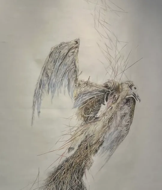 Étude du vivant au dessin, cours à Bordeaux