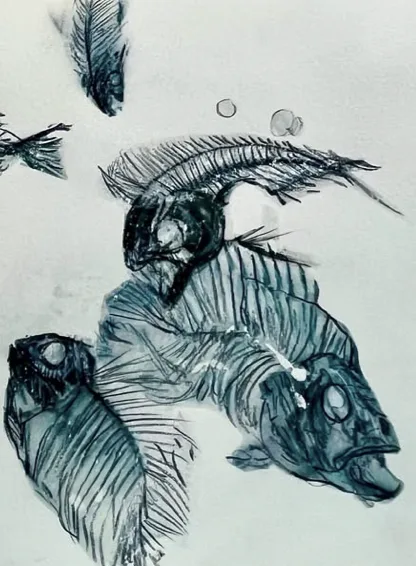 Étude du vivant au dessin, cours à Bordeaux