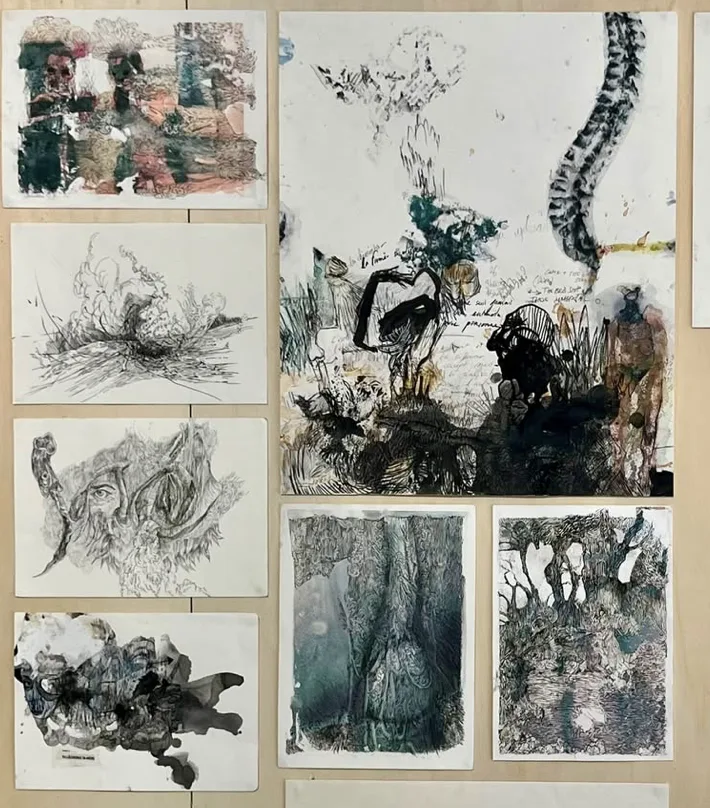 Étude du vivant au dessin, cours à Bordeaux