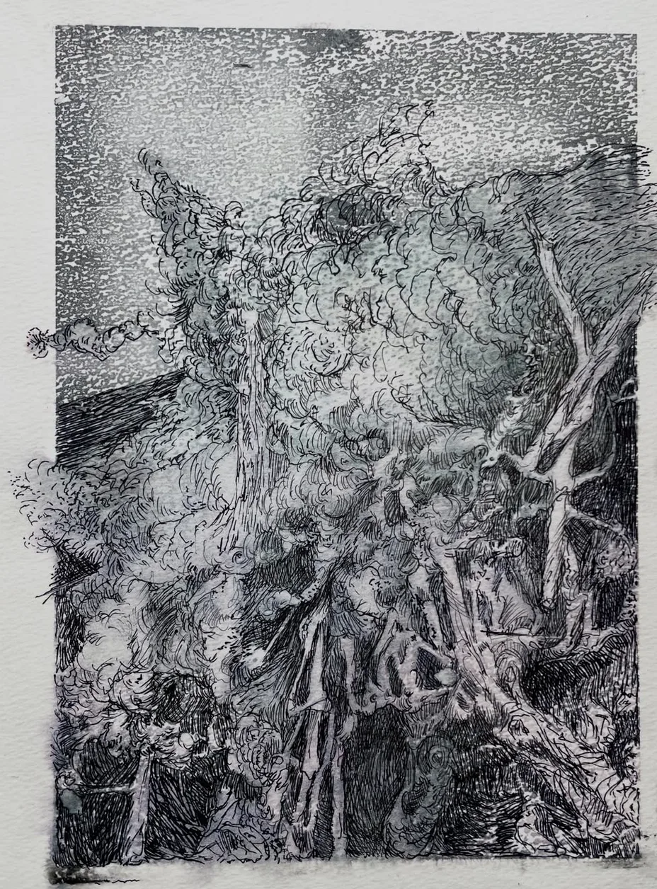 Étude du vivant au dessin, cours à Bordeaux