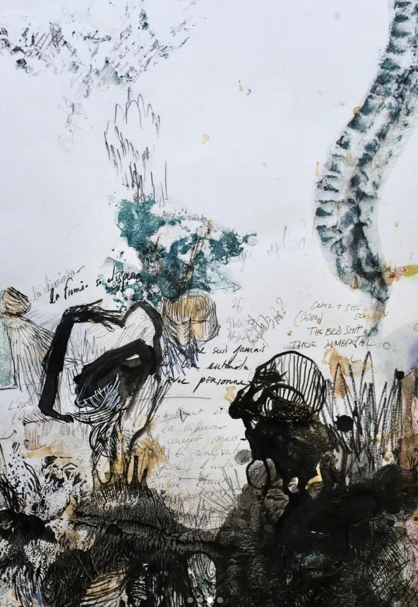 Étude du vivant au dessin, cours à Bordeaux