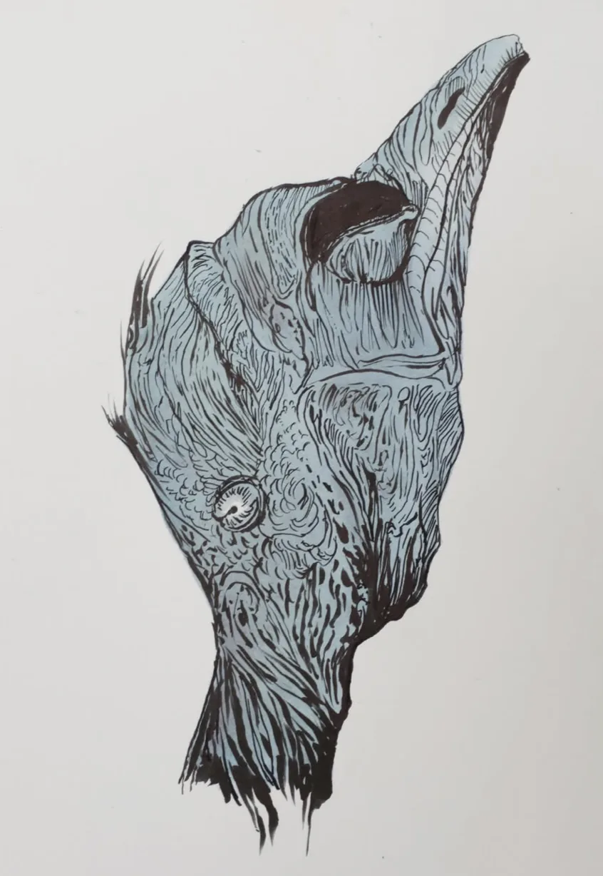Étude du vivant au dessin, cours à Bordeaux