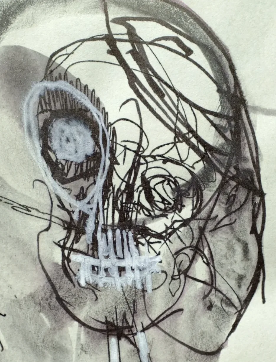 Étude du vivant au dessin, cours à Bordeaux