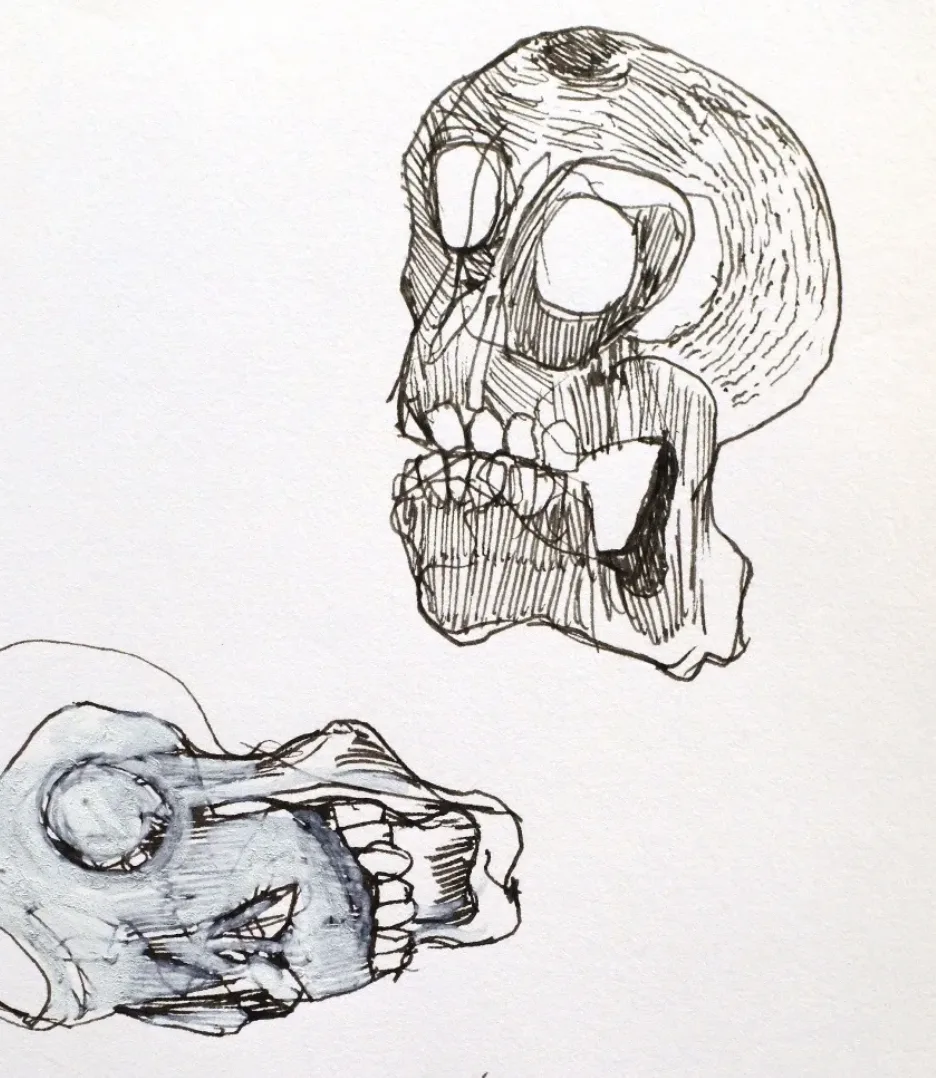 Étude du vivant au dessin, cours à Bordeaux