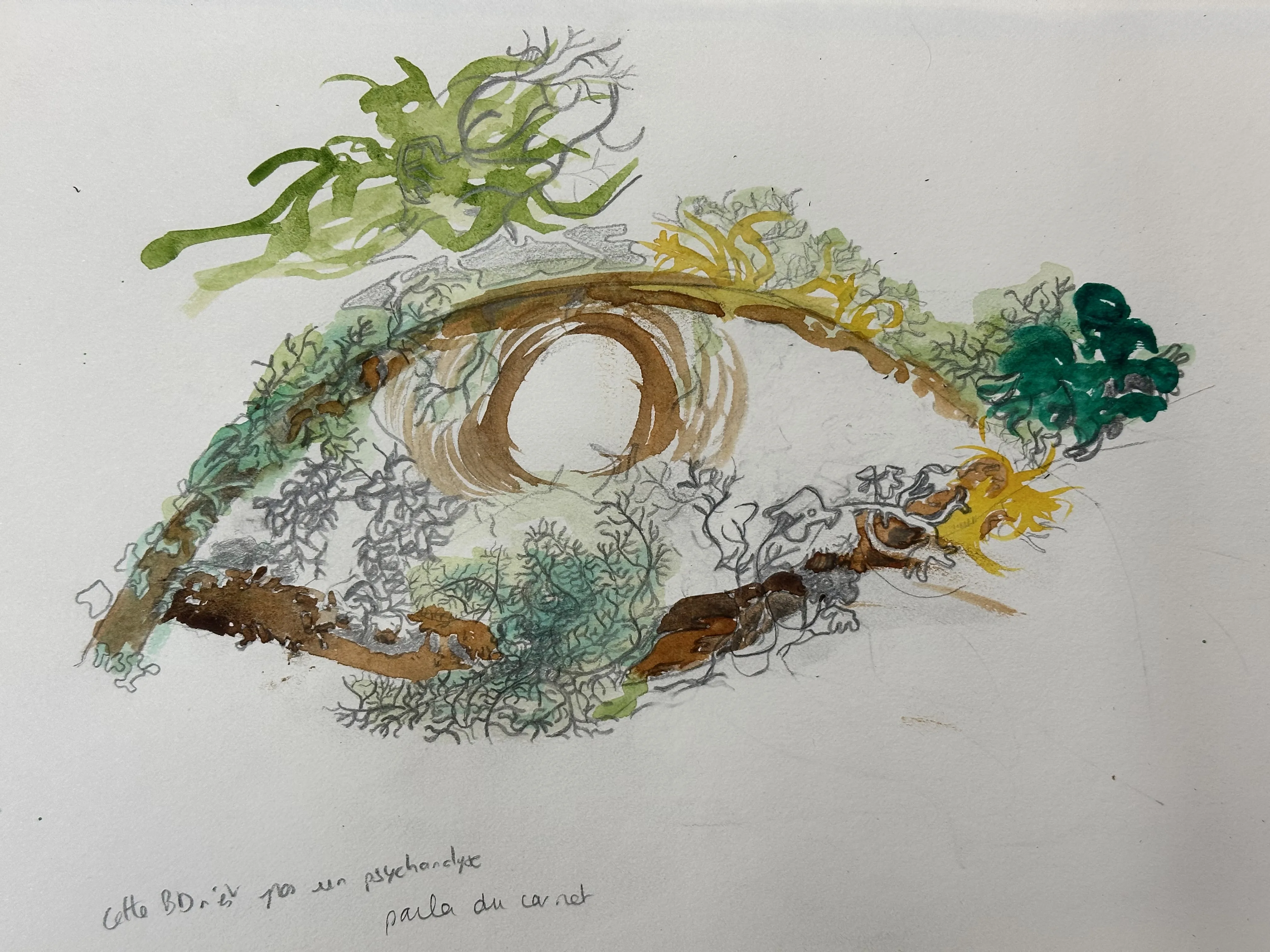 Dessin réalisé en cours
