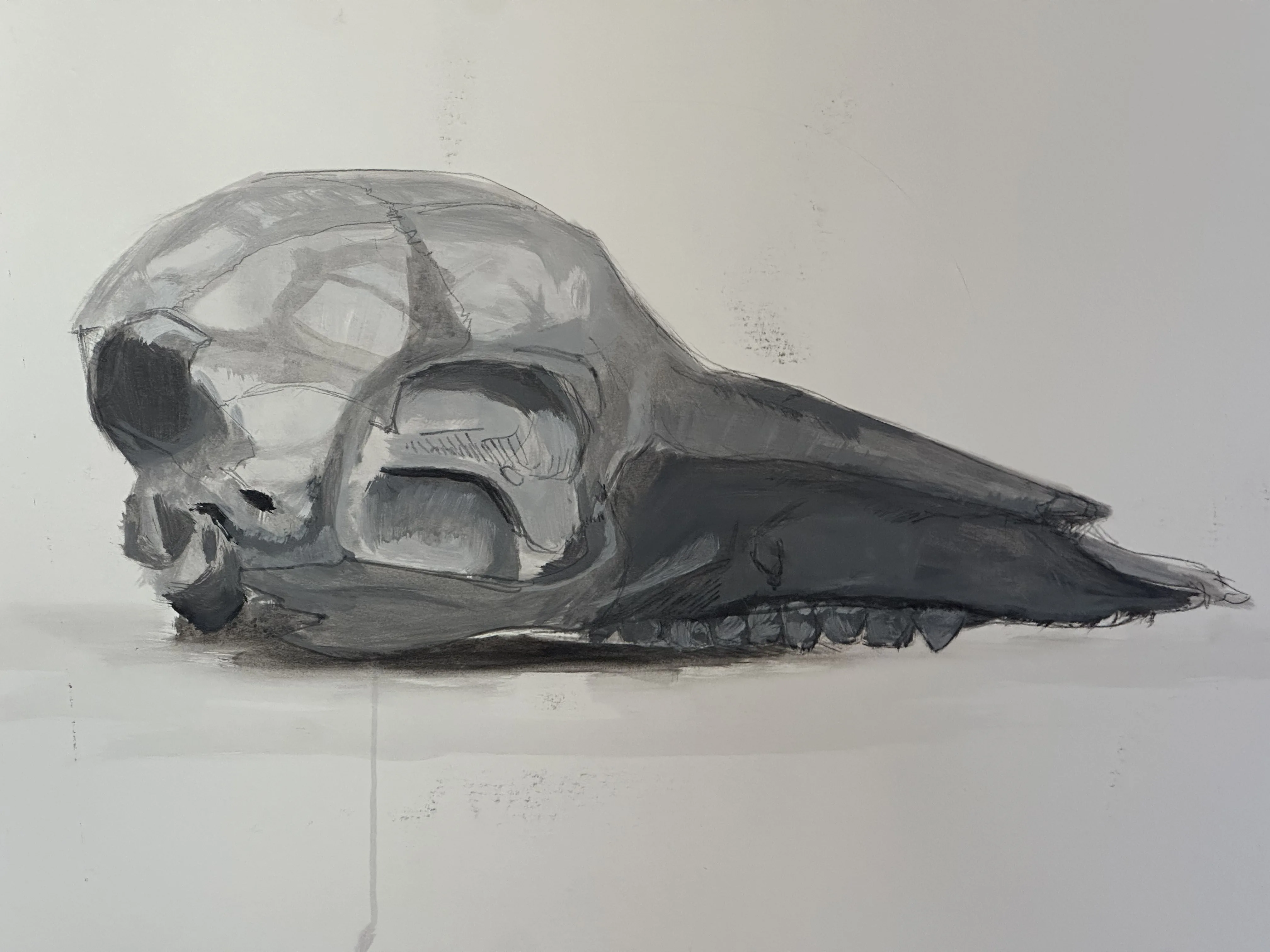 Dessin réalisé en cours