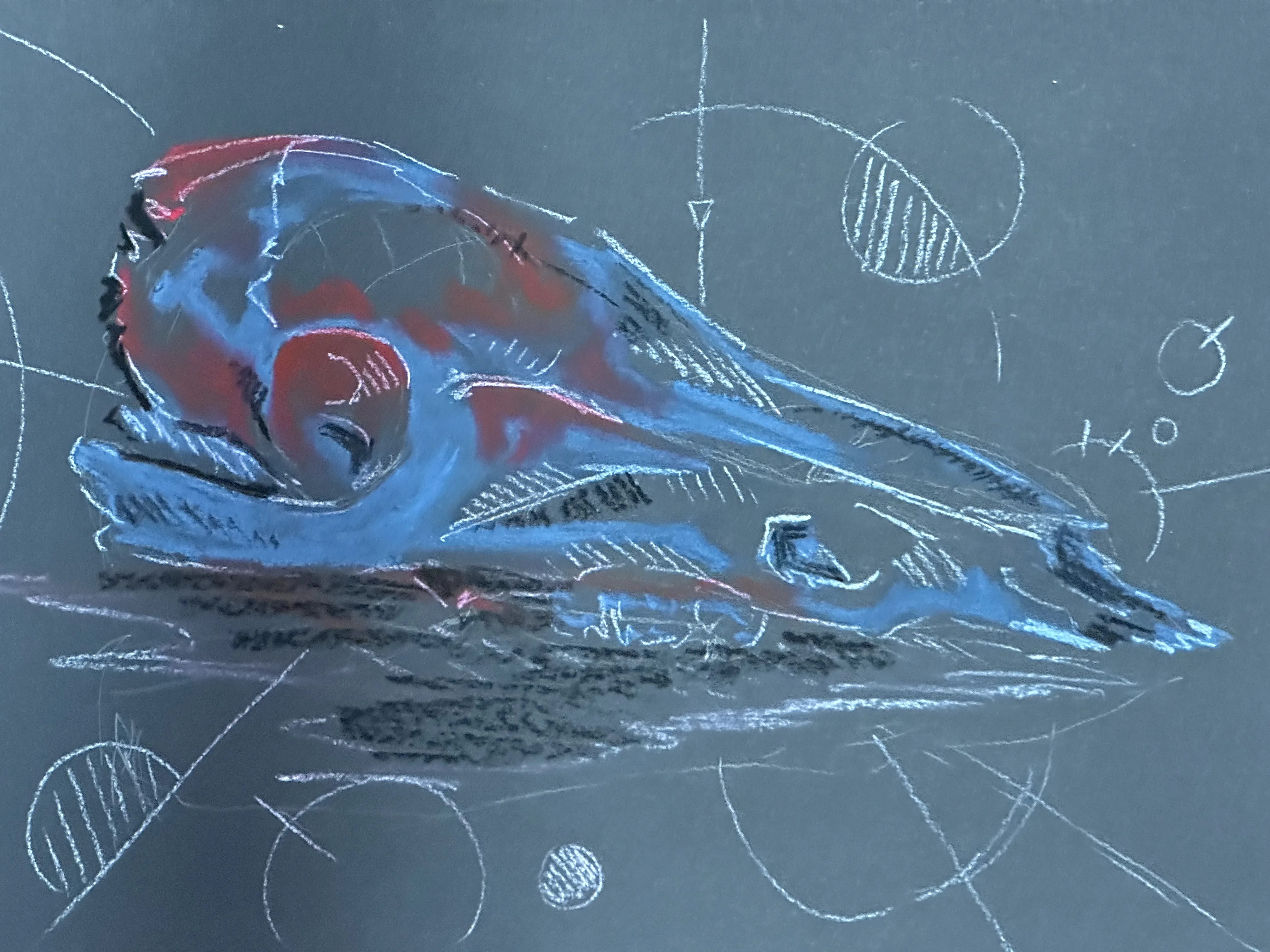 Dessin réalisé en cours