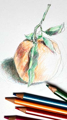 Dessin et regard