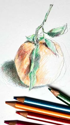 Dessin et regard