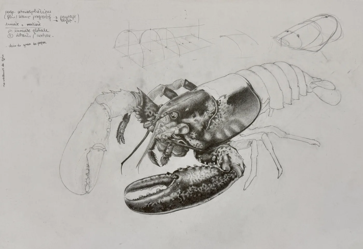 Dessin réalisé en cours