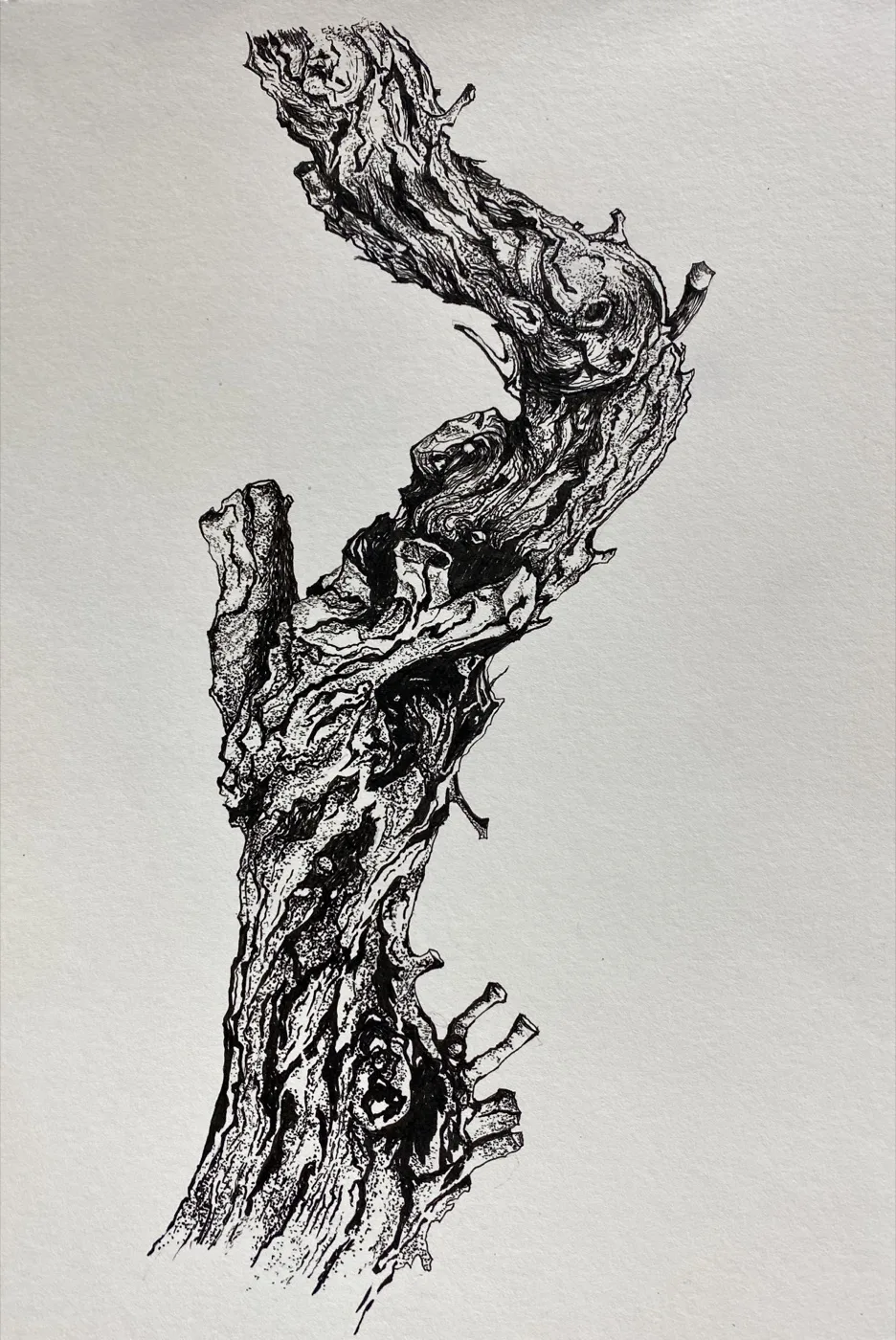 Dessin réalisé en cours