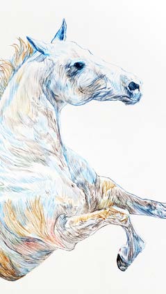 Dessin de portrait