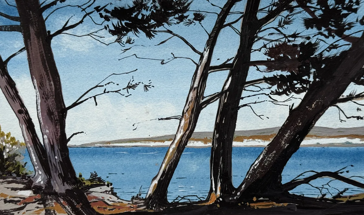 Atelier aquarelle – Pins et plages