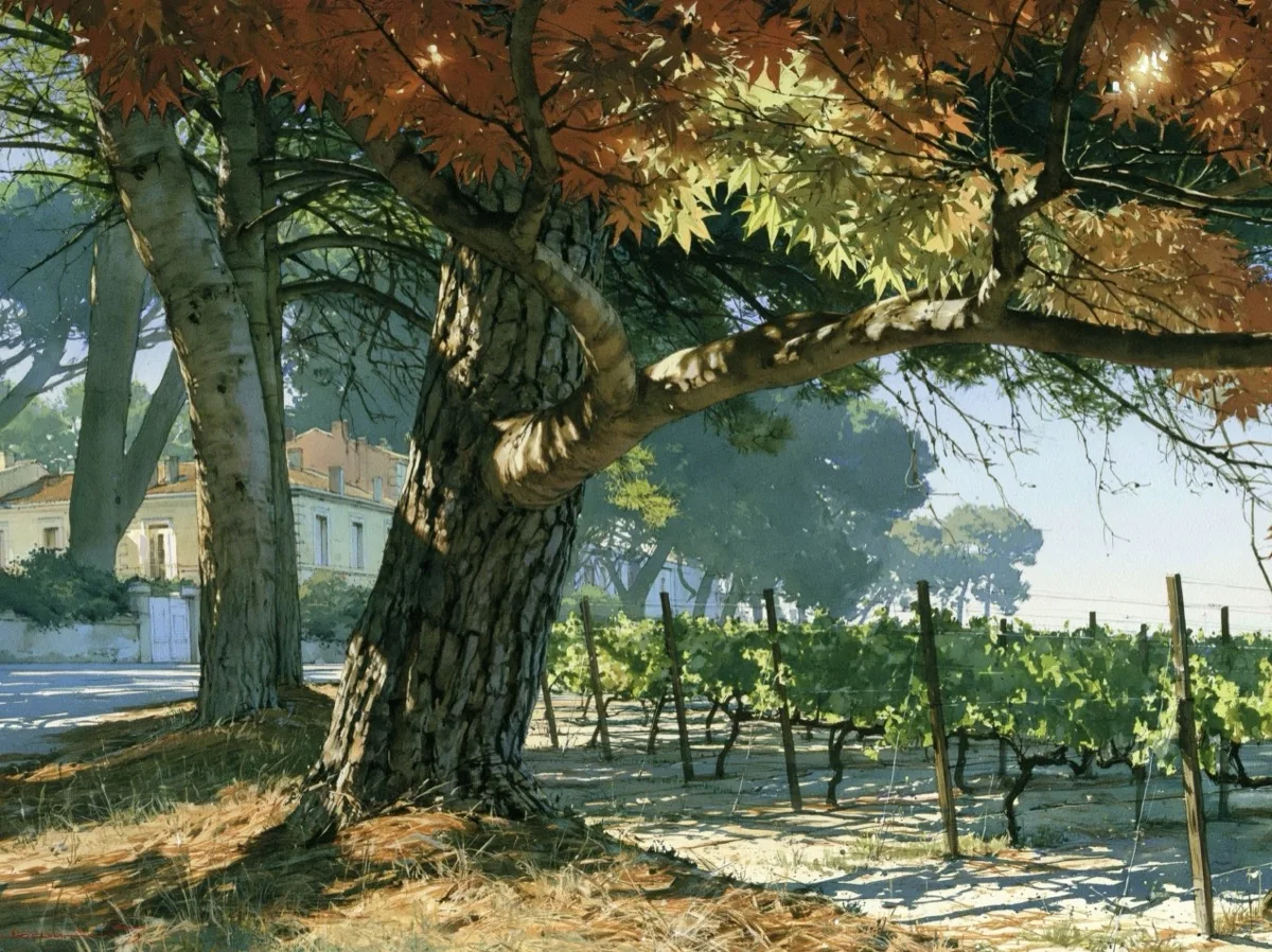 Journée aquarelle - Vignes et paysages de Bordeaux
