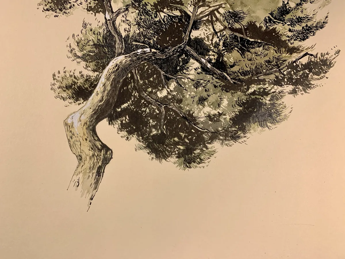 Stage aquarelle - Fleurs et feuillages à l'aquarelle